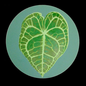 anthurium.jpg