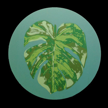 monstera.jpg