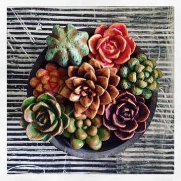 succulents.jpg