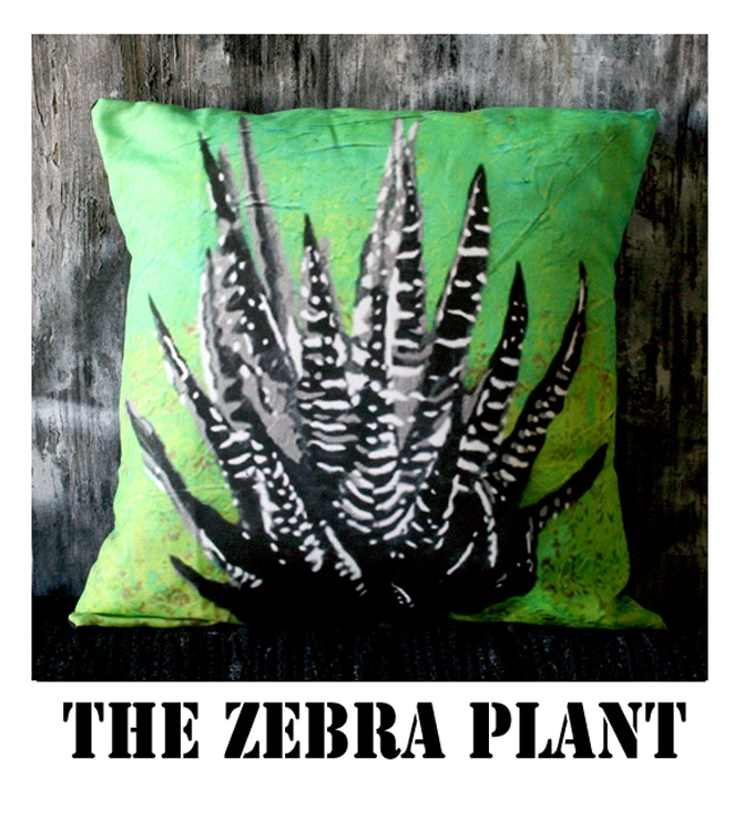 thezebraplant.jpg